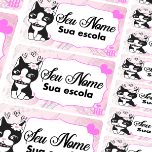 Kit de Adesivo Escolar Vinil Adesivo Branco Laminado 100 adesivos  Laminado (Plastificado)  Preço por cartela da mesma arte